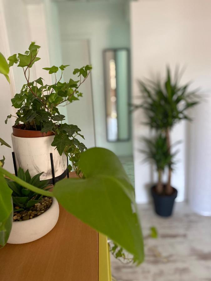 Hisa Megiclinic - Apartments & Healing Center Kobarid Εξωτερικό φωτογραφία