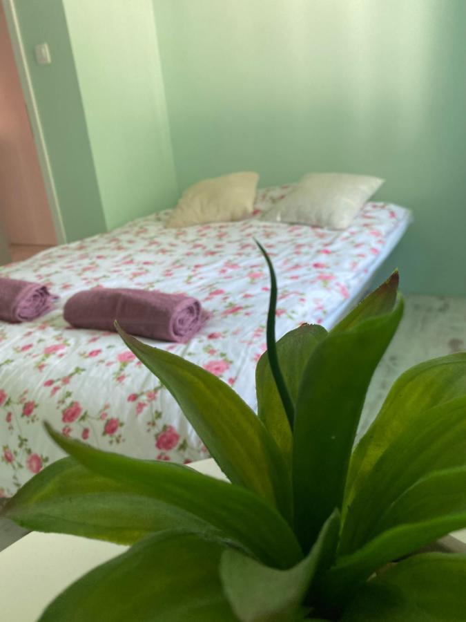 Hisa Megiclinic - Apartments & Healing Center Kobarid Εξωτερικό φωτογραφία