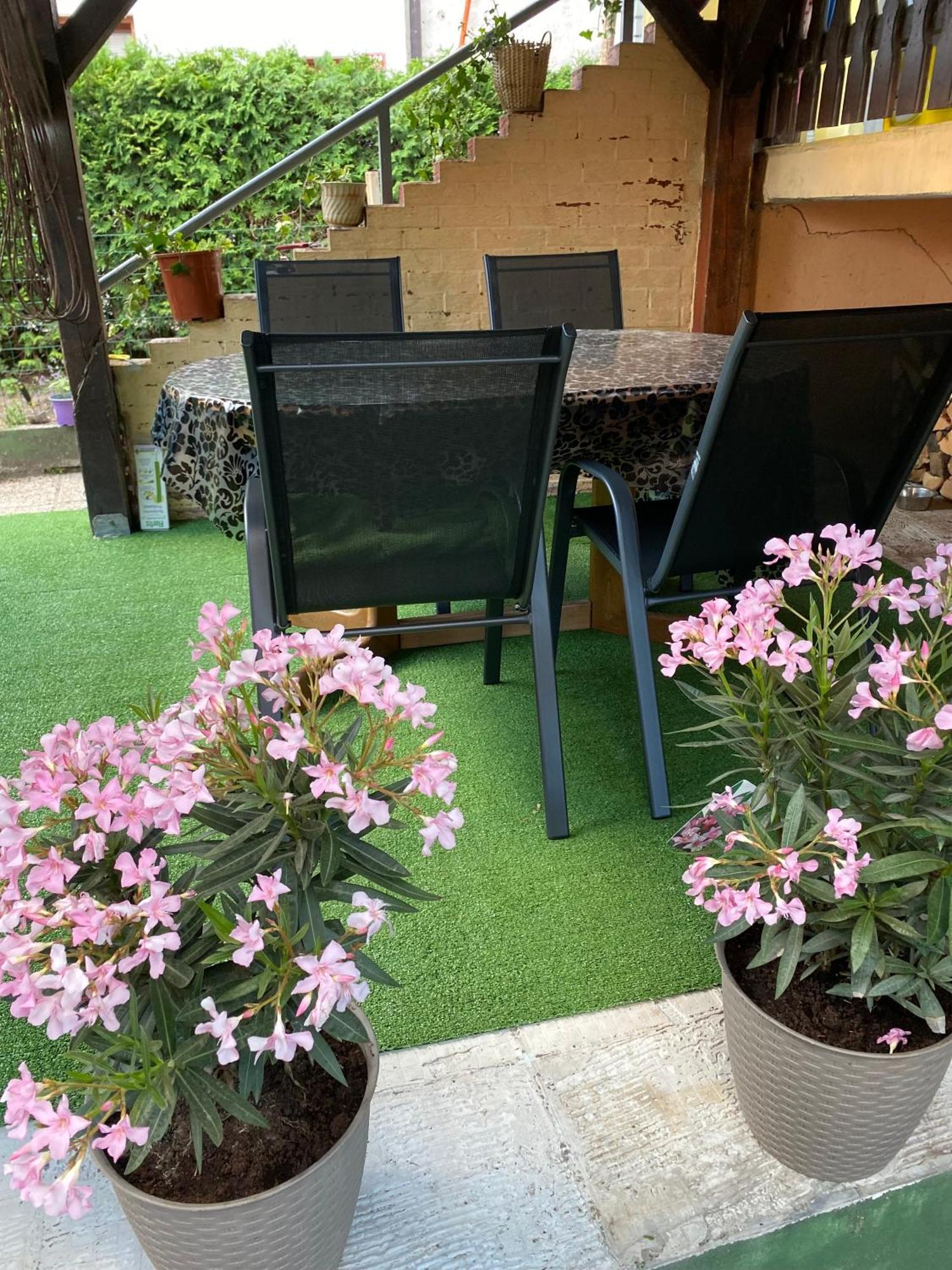 Hisa Megiclinic - Apartments & Healing Center Kobarid Εξωτερικό φωτογραφία