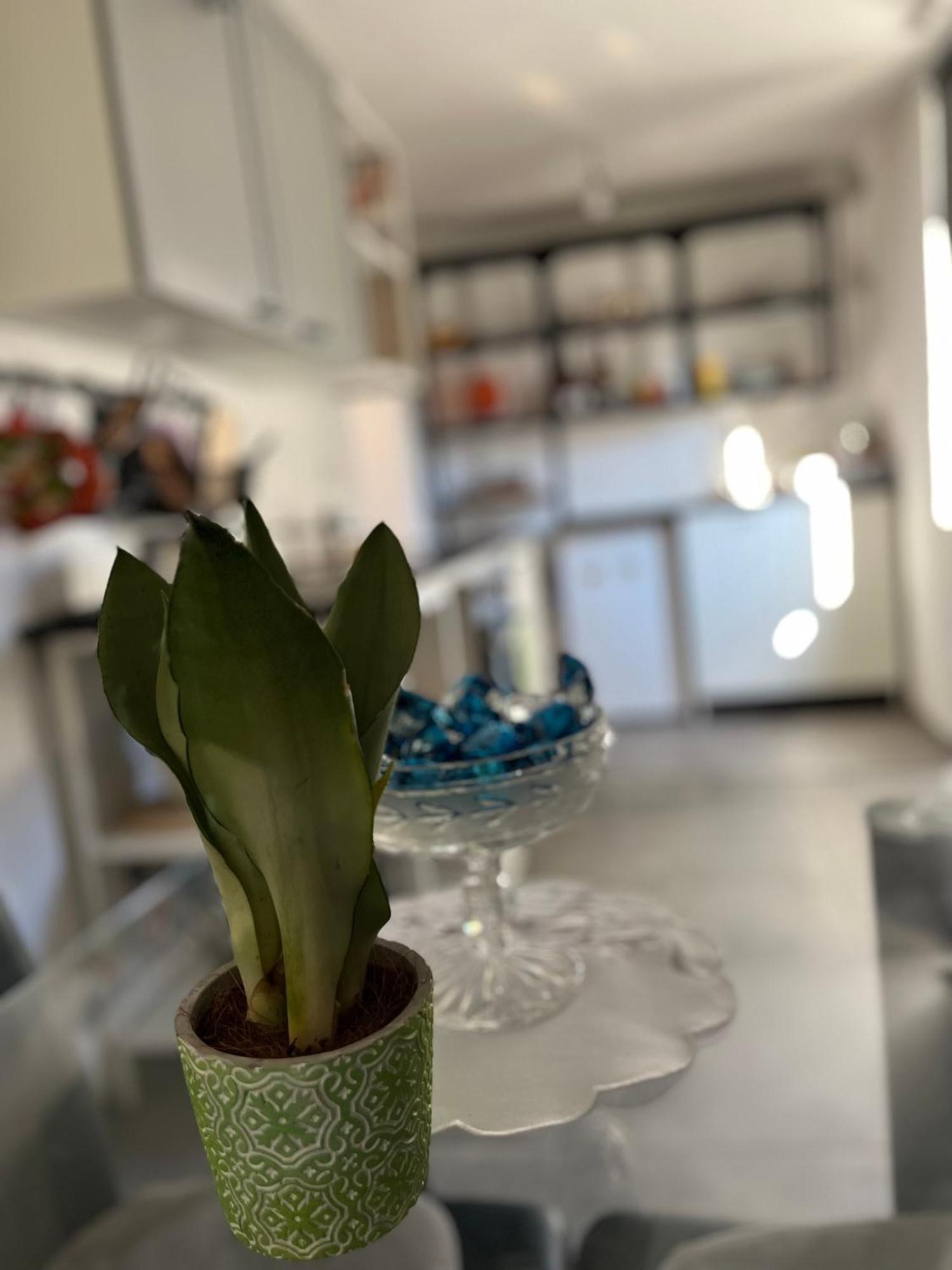 Hisa Megiclinic - Apartments & Healing Center Kobarid Εξωτερικό φωτογραφία
