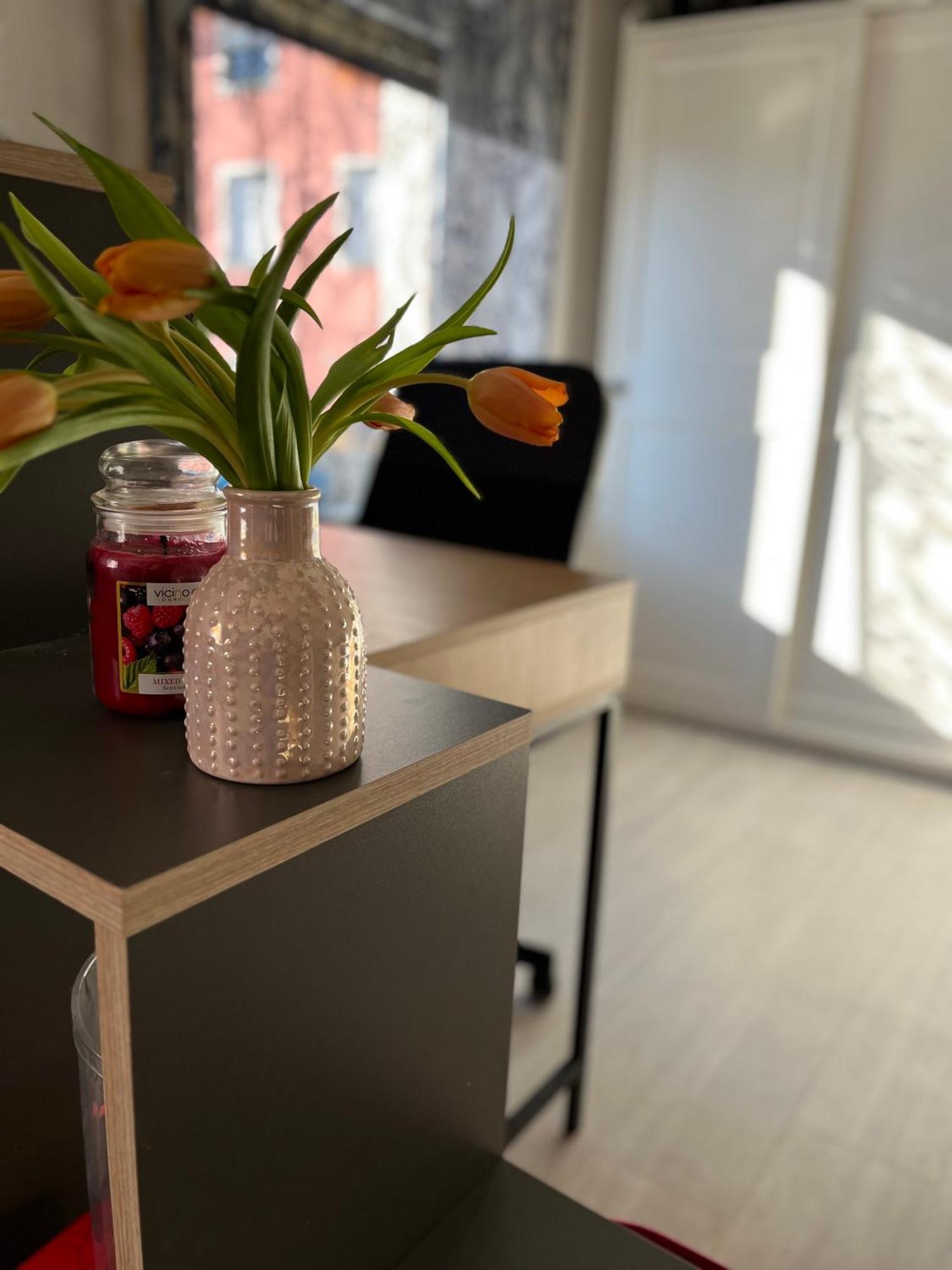 Hisa Megiclinic - Apartments & Healing Center Kobarid Εξωτερικό φωτογραφία