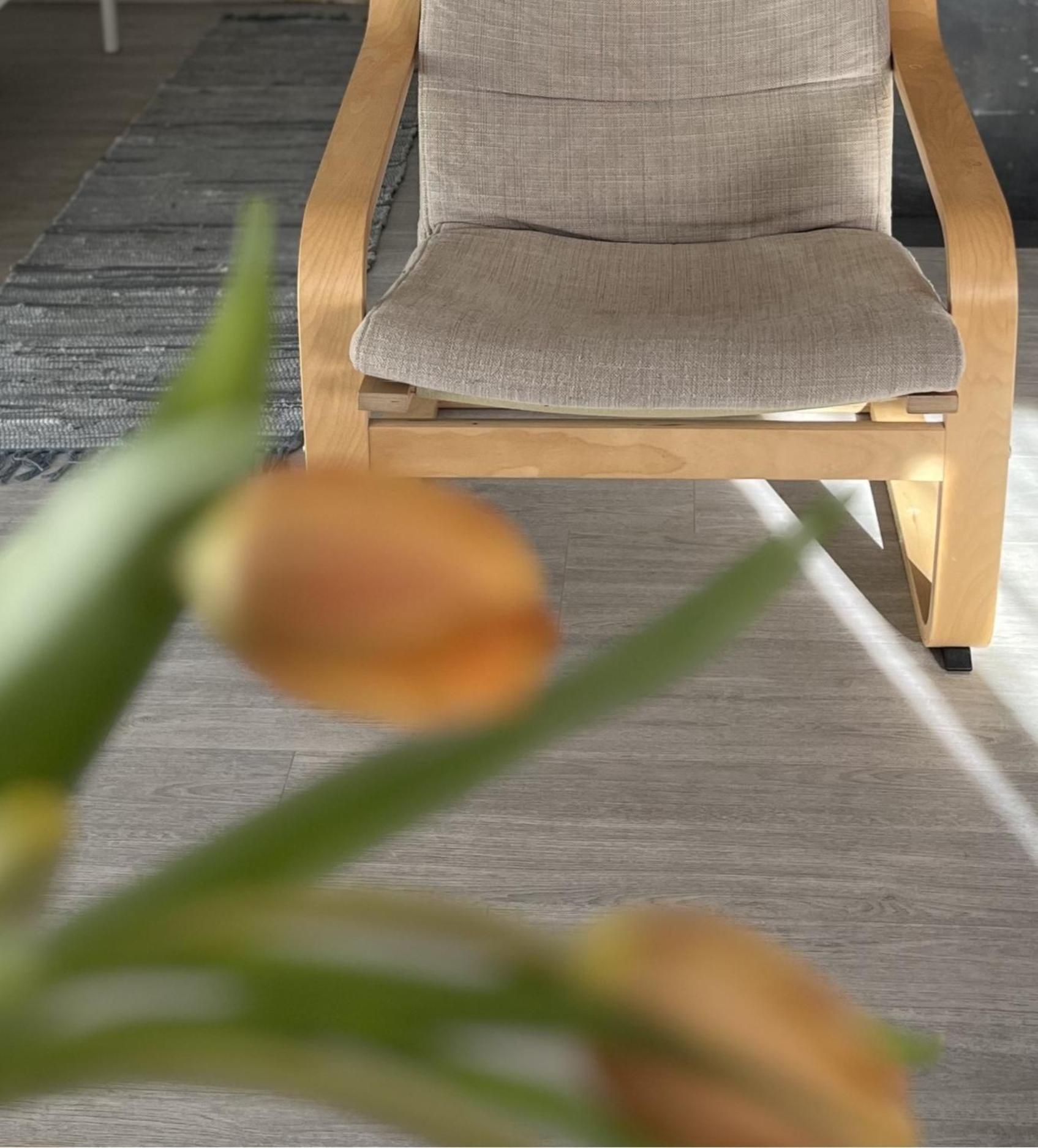 Hisa Megiclinic - Apartments & Healing Center Kobarid Εξωτερικό φωτογραφία