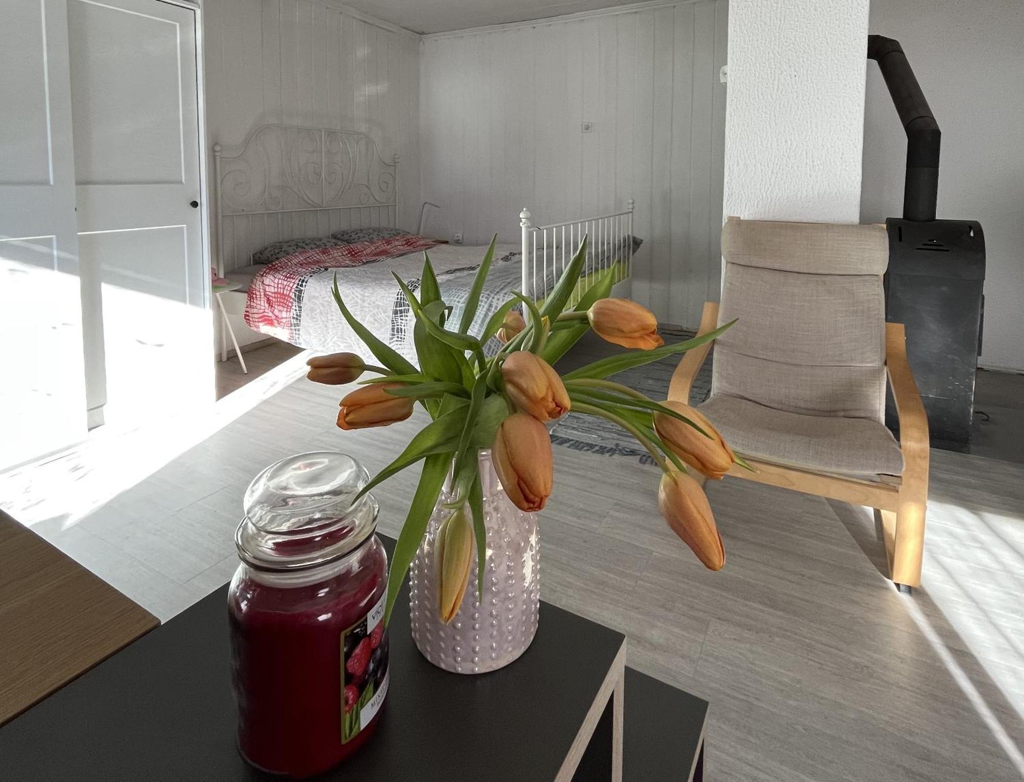 Hisa Megiclinic - Apartments & Healing Center Kobarid Εξωτερικό φωτογραφία
