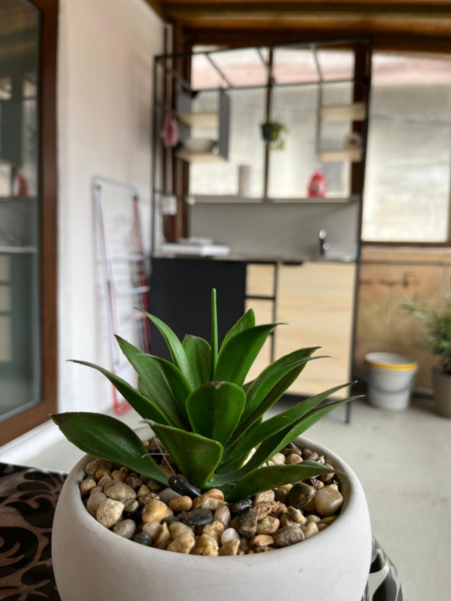 Hisa Megiclinic - Apartments & Healing Center Kobarid Εξωτερικό φωτογραφία