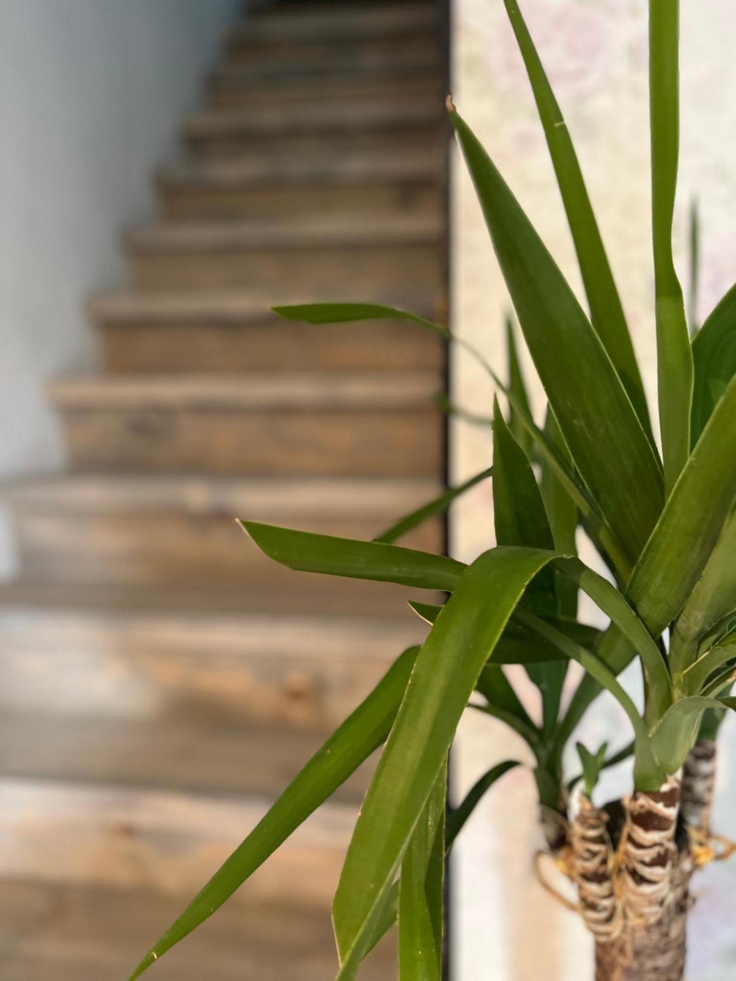 Hisa Megiclinic - Apartments & Healing Center Kobarid Εξωτερικό φωτογραφία
